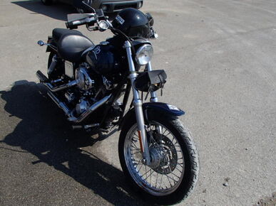 2004 HARLEY DAVIDSON FXDL / Dyna Low Rider - Motorcycle VIN Check