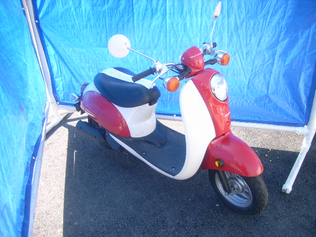 Honda CHF50 (Metropolitan)