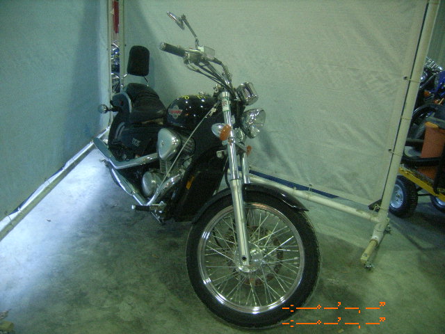 Honda VT600C (SHADOW VLX)