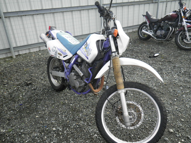 Suzuki DR650SE