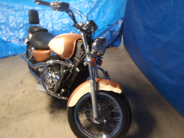 Honda VT1100C2 (SHADOW ACE)