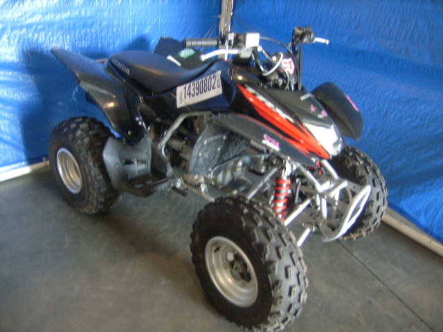 Honda TRX250