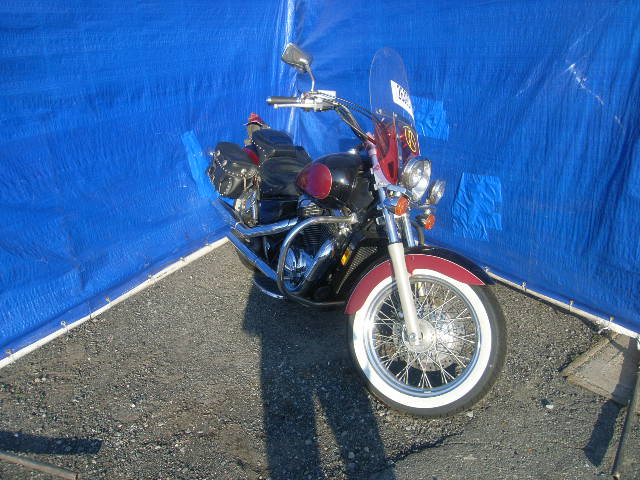 Honda VT1100C2 (SHADOW ACE)