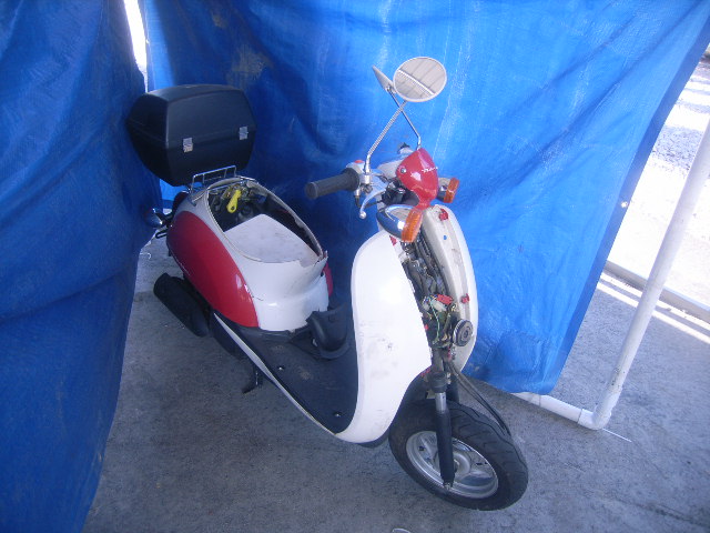 Honda CHF50 (Metropolitan)