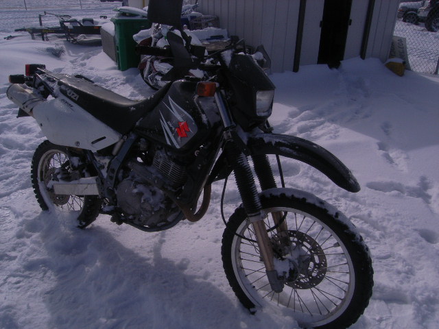 Suzuki DR650SE