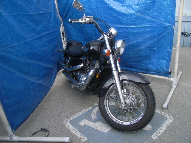 Honda VT1100C2 (SHADOW ACE)