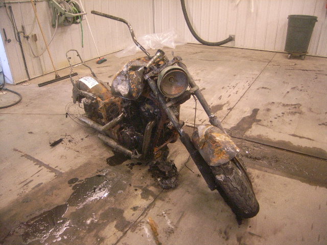 Honda VT1100C2 (SHADOW ACE)