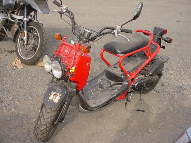 Honda NPS50 (Ruckus)