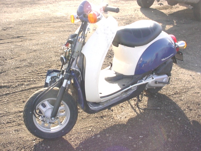 Honda CHF50 (Metropolitan)