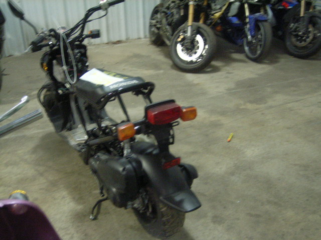 Honda NPS50 (Ruckus)