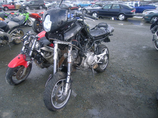 2004 DUCATI Multistrada (MTS) - License Plate