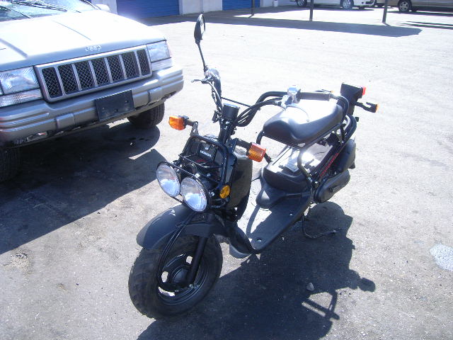 Honda NPS50 (Ruckus)
