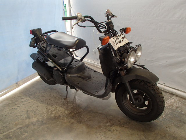 Honda NPS50 (Ruckus)