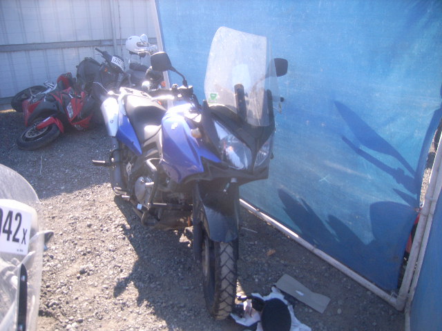 Suzuki DL650