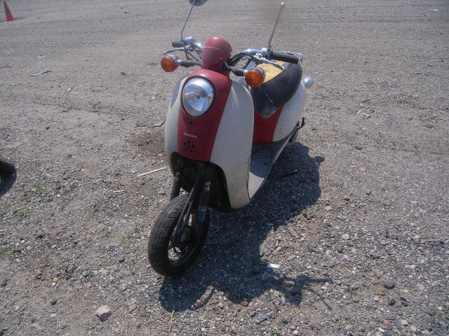 Honda CHF50 (Metropolitan)