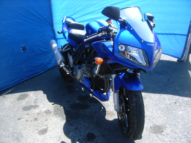 Suzuki SV1000S