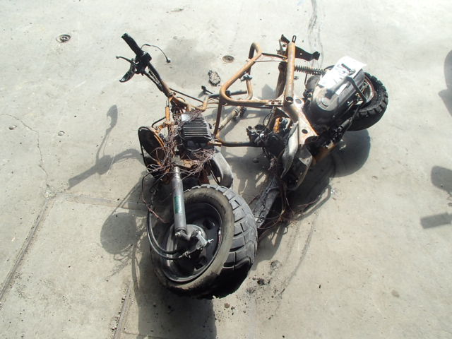 Honda NPS50 (Ruckus)