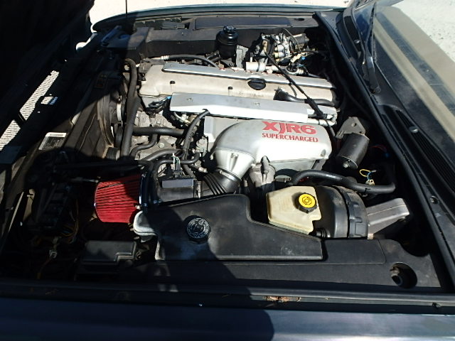 JAGUAR