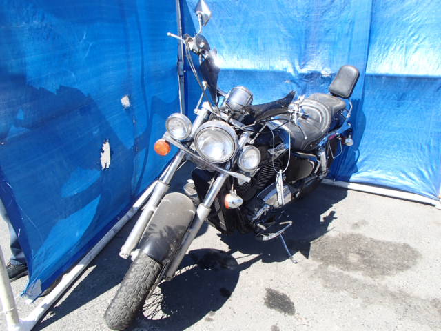 Honda VT1100C2 (SHADOW ACE)