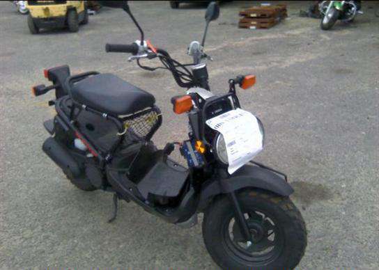 Honda NPS50 (Ruckus)