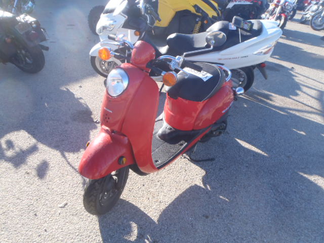 Honda CHF50 (Metropolitan)