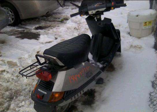 Honda CH80 (Elite)