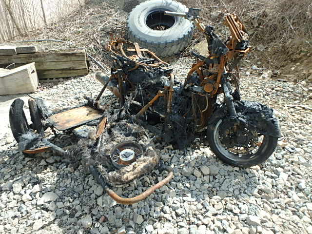 Suzuki AN650AL