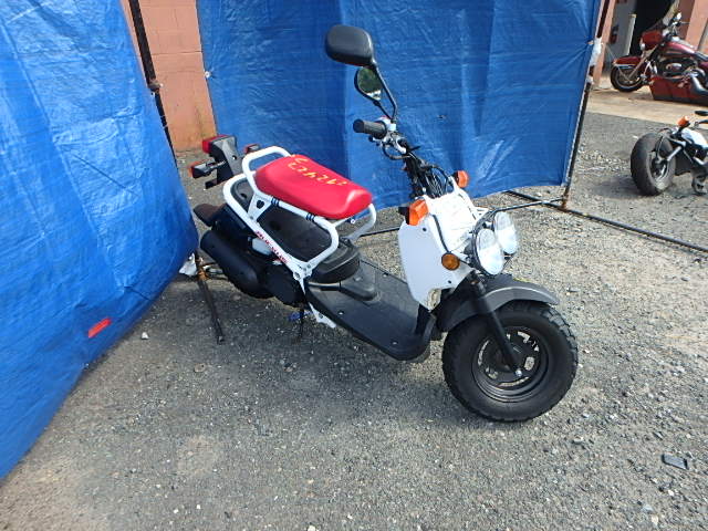 Honda NPS50 (Ruckus)