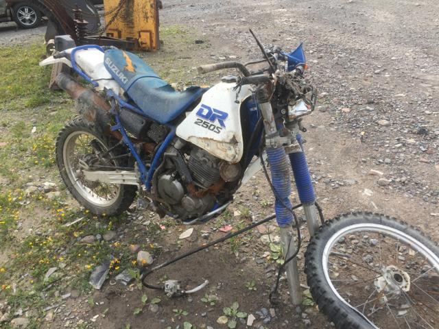 Suzuki TL1000S
