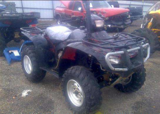 Honda TRX500 (Foreman Rubicon)