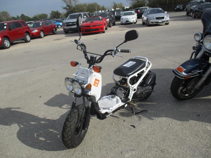 Honda NPS50 (Ruckus)