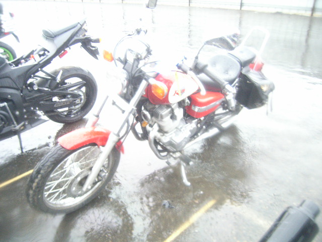 Honda CMX250 (Rebel)