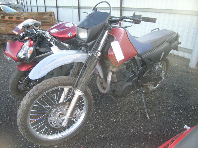 Suzuki DR650SE