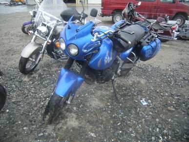 2006 TRIUMPH Tiger - License Plate
