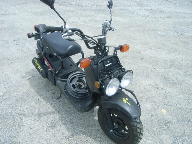Honda NPS50 (Ruckus)