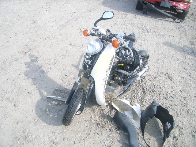 Honda CHF50 (Metropolitan)