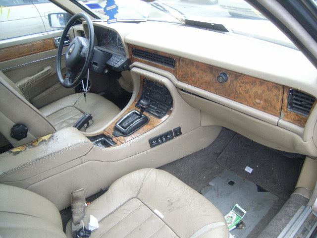 JAGUAR