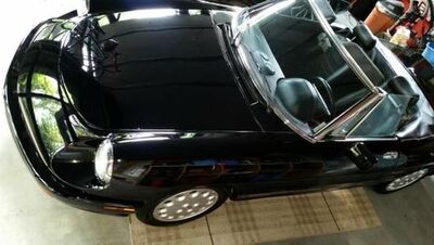1993 ALFA ROMEO Spider - License Plate