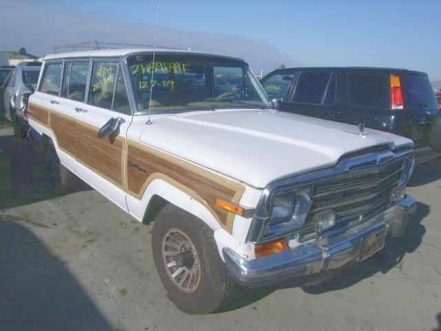 1991 JEEP Grand Wagoneer - License Plate