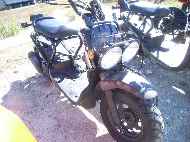 Honda NPS50 (Ruckus)