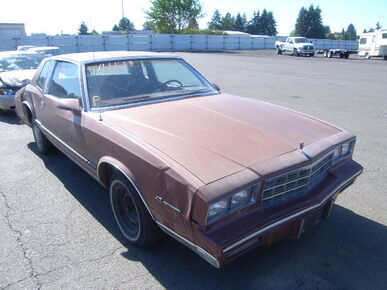 1986 CHEVROLET Monte Carlo - License Plate