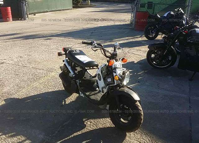 Honda NPS50 (Ruckus)