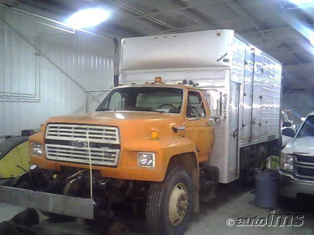 Ford F-800