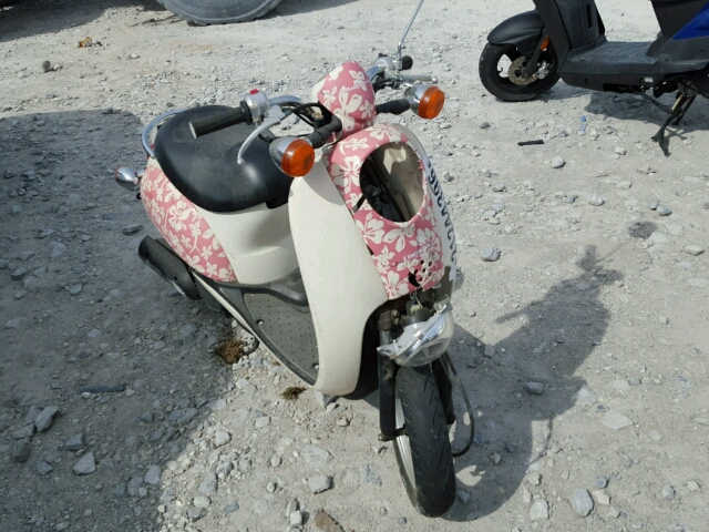 Honda CHF50 (Metropolitan)