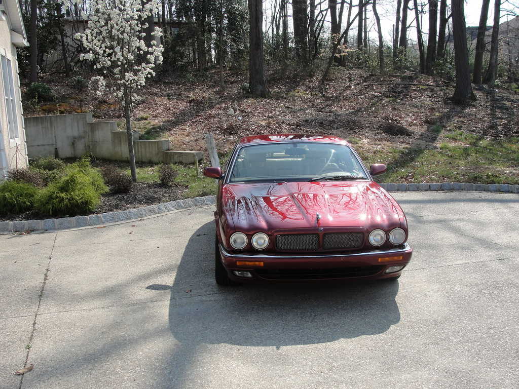 Jaguar XJR