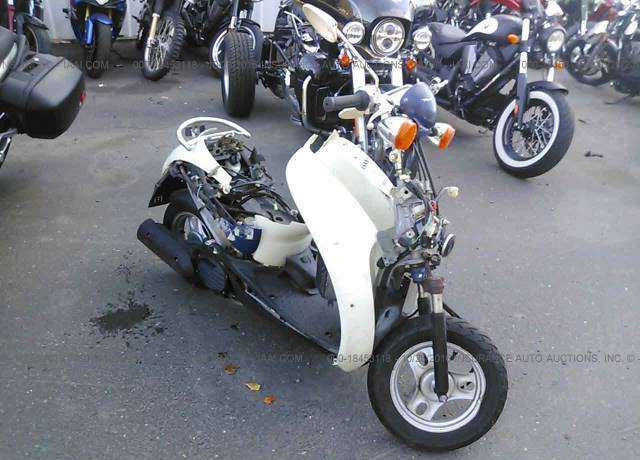 Honda CHF50 (Metropolitan)