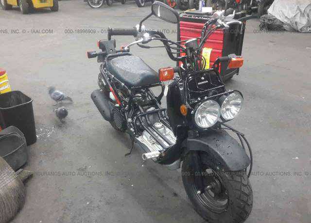 Honda NPS50 (Ruckus)