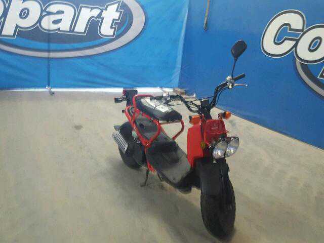 Honda NPS50 (Ruckus)