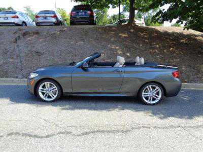2017 BMW 230i