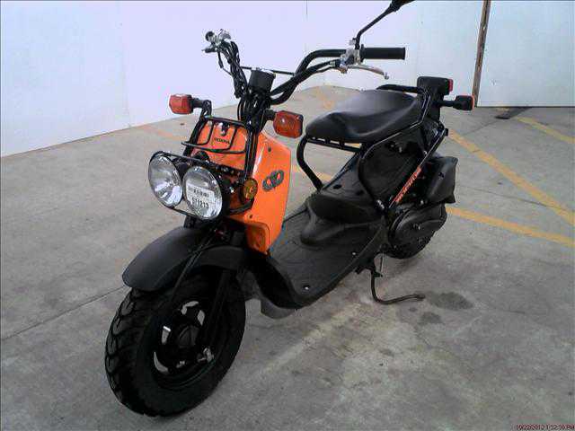 Honda NPS50 (Ruckus)
